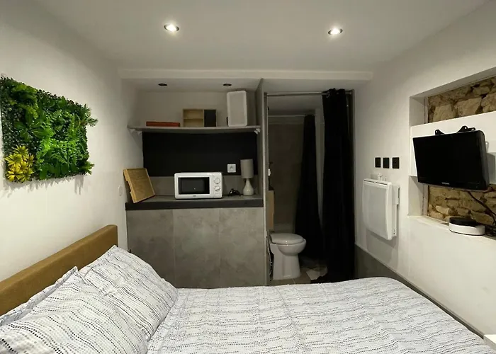 Le Cocon Bressan Apartment Coligny